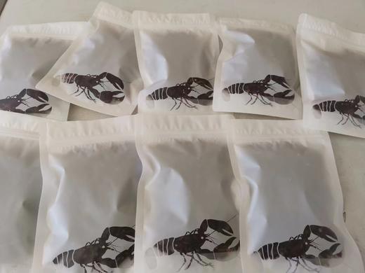 笔管海兔干  特别干  烹饪菜品需要泡发十几分钟  可以搭配任何蔬菜 特别提味 全国包邮（偏远地区除外） 商品图7