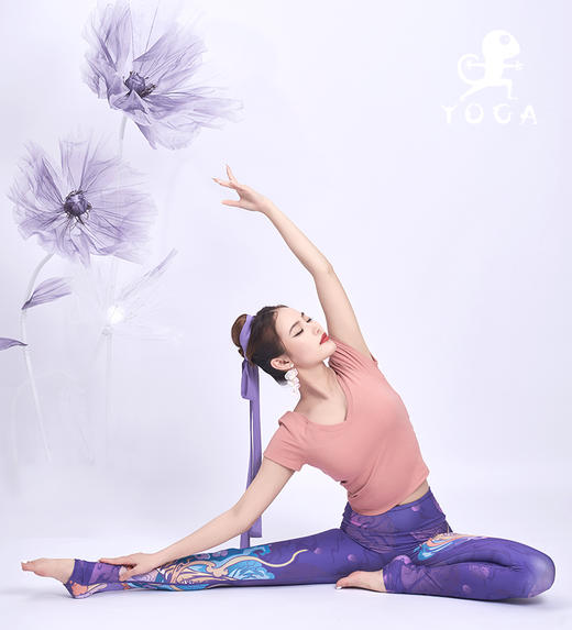 壁虎瑜伽【2205SY175】V领齐腰亲肤短袖（一体式胸垫）（5天发货） 商品图2