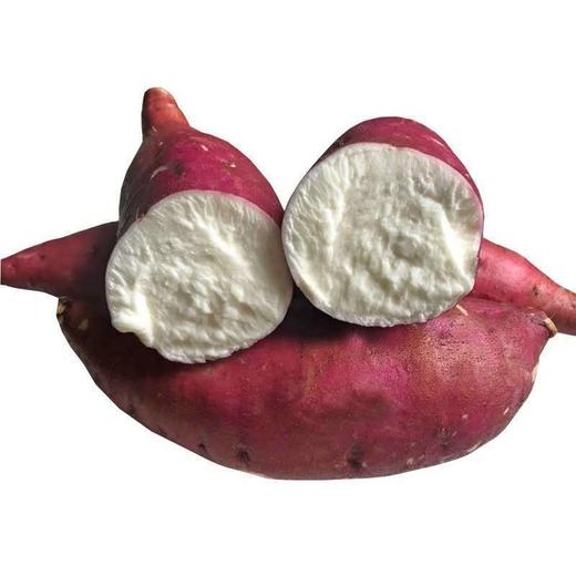 有机芯香红薯4斤 商品图0