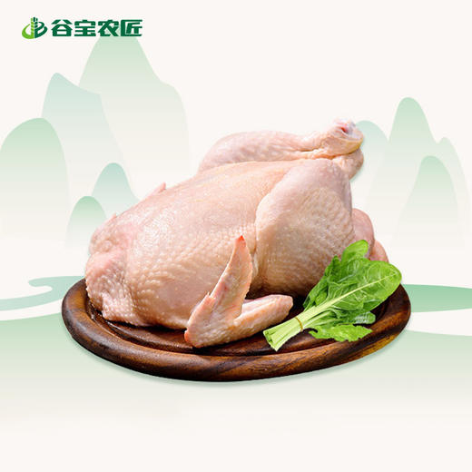 【谷宝农匠】生态散养365天以上土鸡  1.8斤以上 商品图1