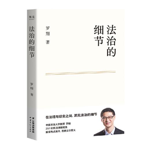 罗翔说刑罚系列：《法治的细节》《刑法学讲义（第二版）》 商品图1