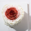 洛神玫瑰 商品缩略图2