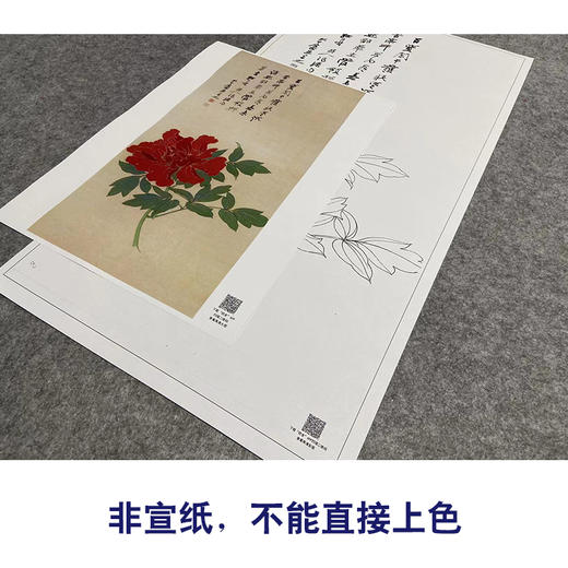 张大千竖幅工笔花鸟白描底稿-《花王图》-多种白描尺寸可选-QD28 商品图2