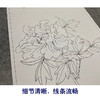 张大千竖幅工笔花鸟白描底稿-《花王图》-多种白描尺寸可选-QD28 商品缩略图4