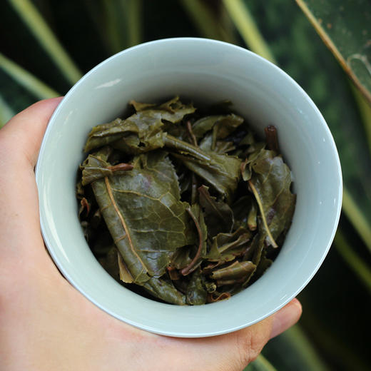 普洱丨叶舞地 2021年 小户赛100g 商品图4