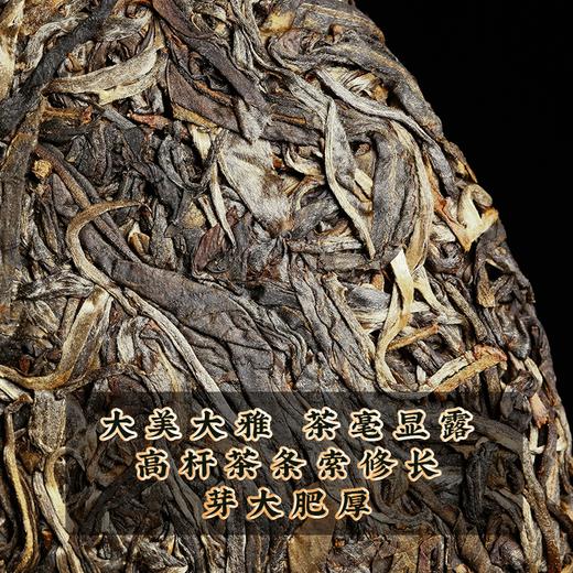 2022春茶古500蟒蛇箐易武古树茶普洱茶生茶七子饼357克茶叶 商品图2