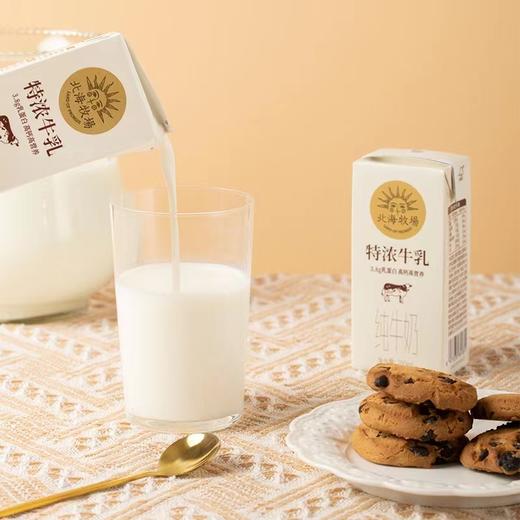 北海牧场特浓牛乳（箱） 商品图0