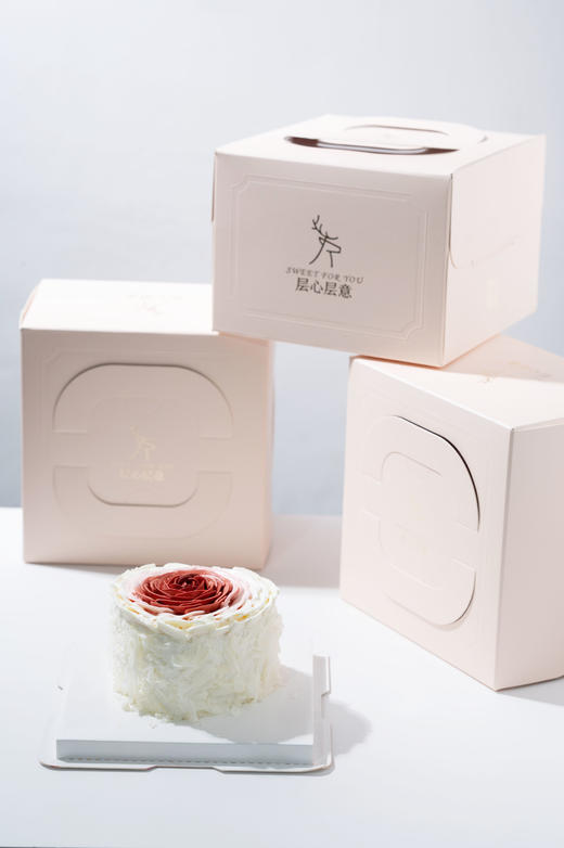 洛神玫瑰 商品图3