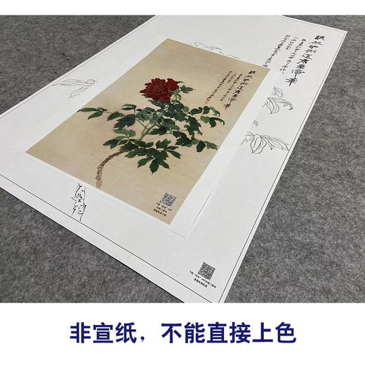 张大千竖幅工笔花鸟白描底稿-《照殿红》-多种白描尺寸可选-QD27 商品图2