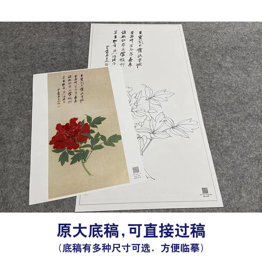 张大千竖幅工笔花鸟白描底稿-《花王图》-多种白描尺寸可选-QD28 商品图1