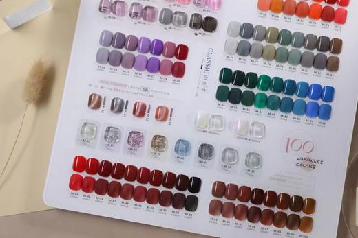 .【秒杀价】希绘雅100色 商品图3