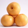 小空山有机黄金梨 商品缩略图0