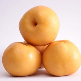 小空山有机黄金梨