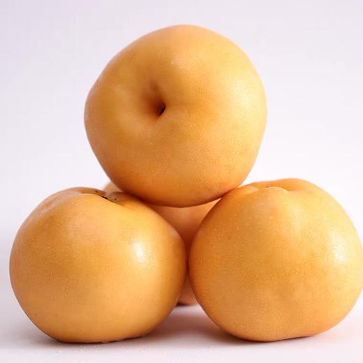 小空山有机黄金梨 商品图0