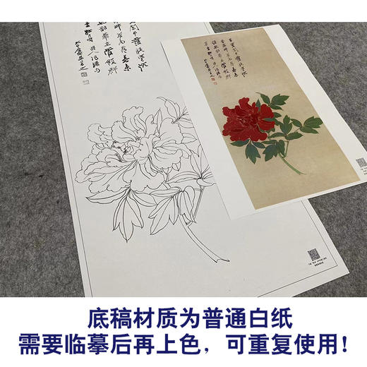 张大千竖幅工笔花鸟白描底稿-《花王图》-多种白描尺寸可选-QD28 商品图3