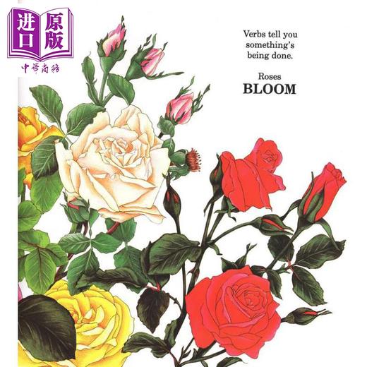 【中商原版】Kites Sail High Book About Verbs 露丝海勒 Ruth Heller 风筝高飞 一本关于动词的书 英文原版 儿童语言绘本 商品图2