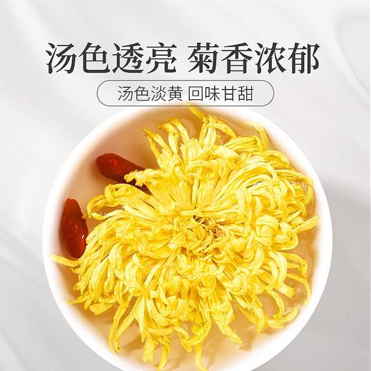 庄民 金丝皇菊 大朵 黄菊花 茶叶花草茶 一朵一杯（23-26朵）12g/罐 商品图3
