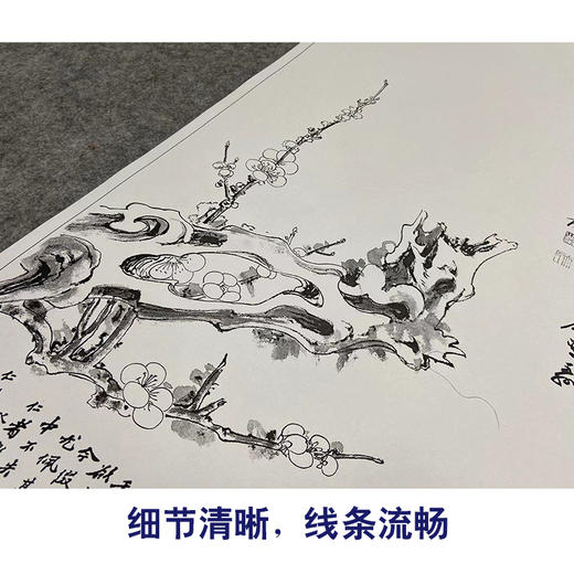 张大千竖幅工笔花鸟白描底稿-《红梅小寿》-多种白描尺寸可选-QD35 商品图4