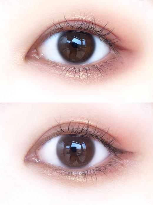 【日抛】Merida·淡棕环·Bebebest丨14.2mm（日抛/一盒10片装） 商品图4