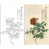 张大千竖幅工笔花鸟白描底稿-《照殿红》-多种白描尺寸可选-QD27 商品缩略图0
