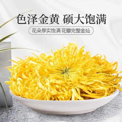 庄民 金丝皇菊 大朵 黄菊花 茶叶花草茶 一朵一杯（23-26朵）12g/罐 商品图1