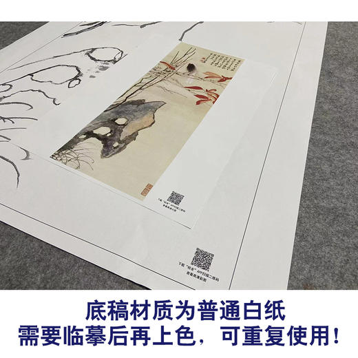 张大千竖幅工笔花鸟白描底稿-《霜叶归禽》-多种白描尺寸可选-QD33 商品图3