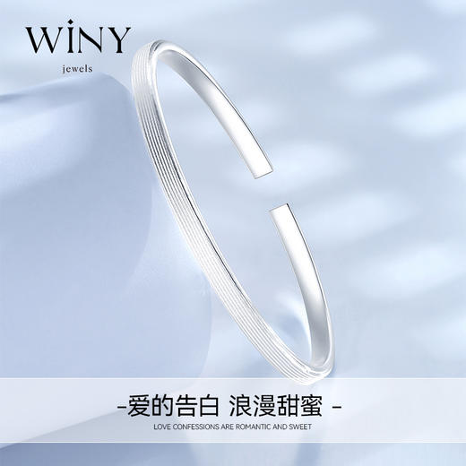 Winy9999足银一路相随手镯配证书送女友闺蜜老婆爱人节日生日礼物 商品图4