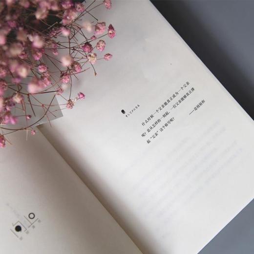 如父如子日本电影大师是枝裕和小偷家族血缘与相伴的亲情如何取舍 商品图6