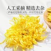 庄民 金丝皇菊 大朵 黄菊花 茶叶花草茶 一朵一杯（23-26朵）12g/罐 商品缩略图4