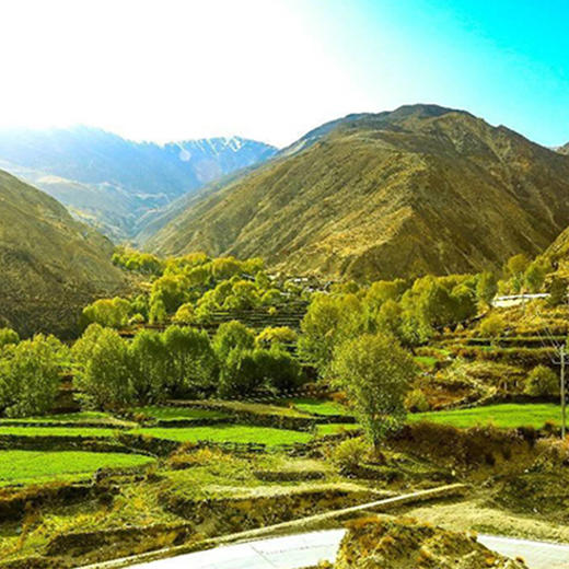 西藏特产  昌都市芒康县  香辣酱   1瓶200g 商品图4