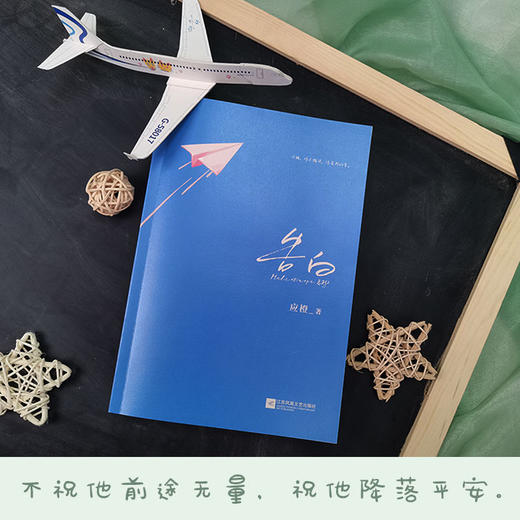 告白应橙 温柔细腻暗恋作品 晋江青春都市小说正版 周京泽×许随 商品图4