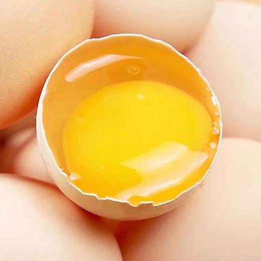 生态散养土鸡蛋 商品图2