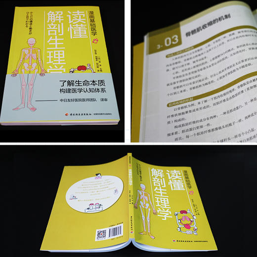 漫画基础医学：读懂解剖生理学 商品图4