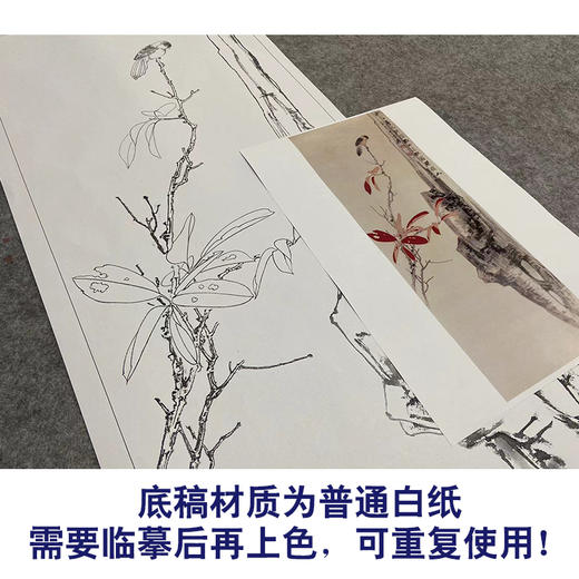 张大千竖幅工笔花鸟白描底稿-红叶小鸟-QD30 商品图3