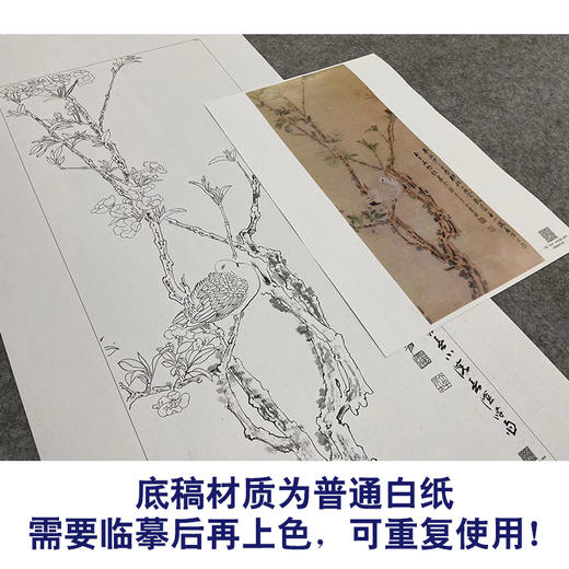 张大千竖幅工笔花鸟白描底稿-《幽禽图》-多种白描尺寸可选-QD38 商品图3