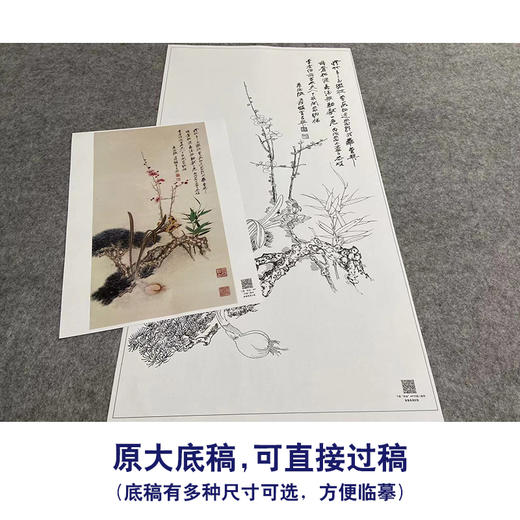 张大千竖幅工笔花鸟白描底稿-《花开纳福》-多种白描尺寸可选-QD32 商品图1
