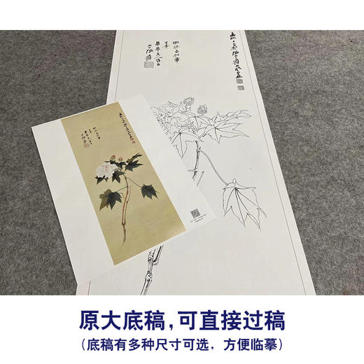 张大千-竖幅工笔花鸟白描底稿-QD26 商品图1