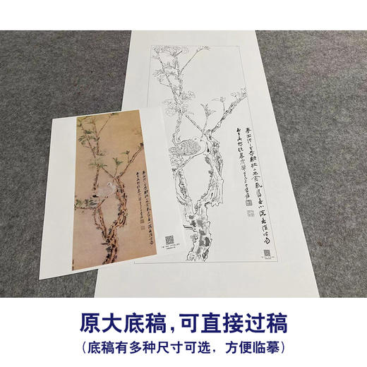 张大千竖幅工笔花鸟白描底稿-《幽禽图》-多种白描尺寸可选-QD38 商品图1