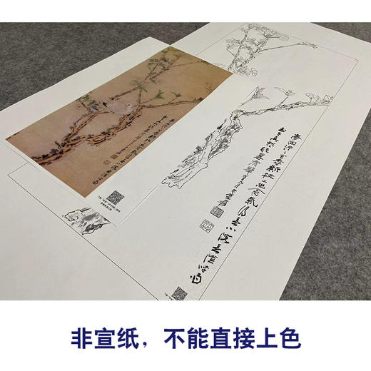 张大千竖幅工笔花鸟白描底稿-《幽禽图》-多种白描尺寸可选-QD38 商品图2