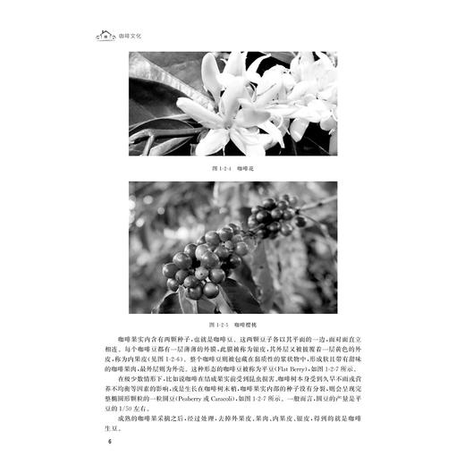 咖啡文化/浙江大学出版社/创新融合高职高专酒店管理专业新形态系列教材/张晶/唐为成 商品图1