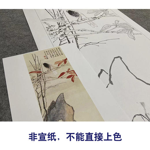 张大千竖幅工笔花鸟白描底稿-《霜叶归禽》-多种白描尺寸可选-QD33 商品图2