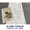 张大千竖幅工笔花鸟白描底稿-《照殿红》-多种白描尺寸可选-QD27 商品缩略图1