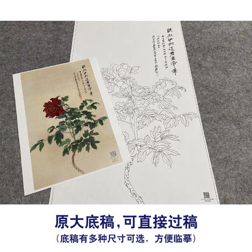 张大千竖幅工笔花鸟白描底稿-《照殿红》-多种白描尺寸可选-QD27 商品图1