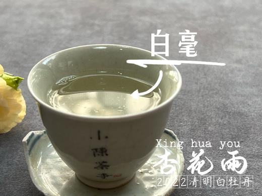 茶友们喜欢的2022清明白牡丹来了，柔美甜馥，清香清长，回甘香浓（90克） 商品图11