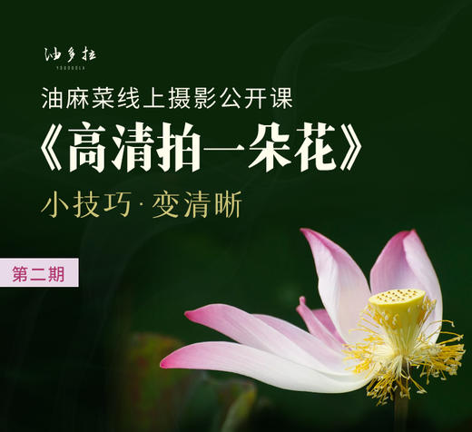 【第二期】高清拍一朵花（二） 商品图0