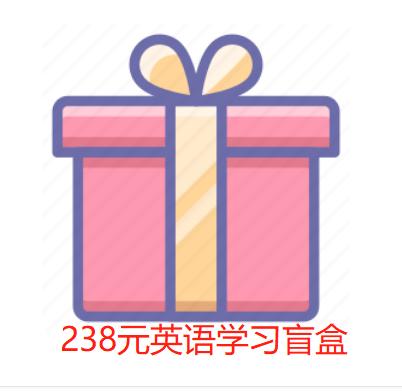 满238送238 英语学习盲盒 年级随机 送人自用都很棒 商品图0