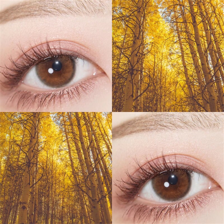 BOLLYCON年抛隐形眼镜 琥珀棕14.0mm 1副/2片-VVCON美瞳商城8