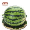 【GYZYDR】口口爽西瓜3-4斤/个 商品缩略图0