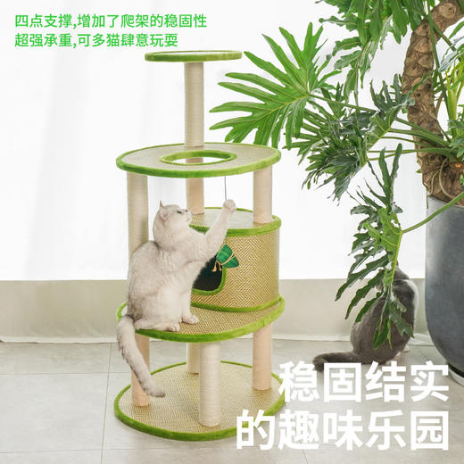 端阳藤编猫爬架-B 商品图4