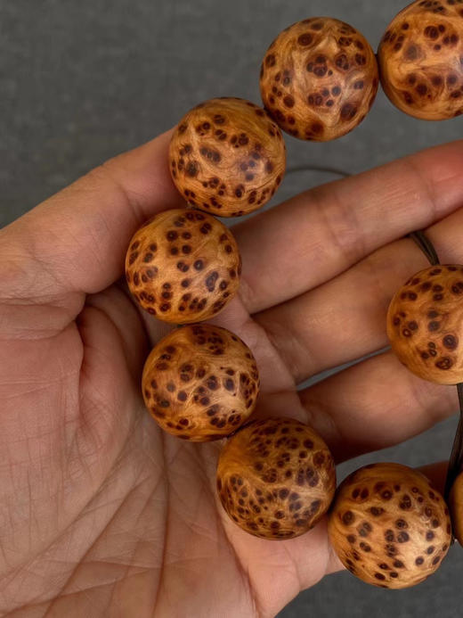 太行山崖柏满雀眼2.0手串 商品图2